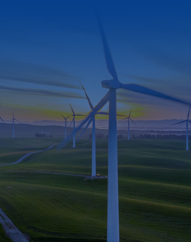 尊龙时凯人生就是搏官网登录入口